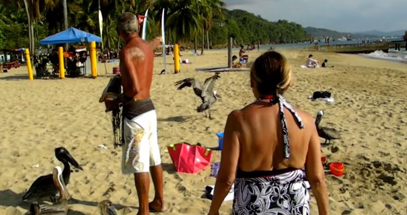 Έμαθε τους πελεκάνους να… χορεύουν – ΒΙΝΤΕΟ