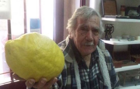Λεμόνι βάρους ενός… κιλού – ΦΩΤΟ