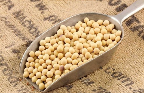 Σόγια: Προστατεύει από την οστεοπόρωση