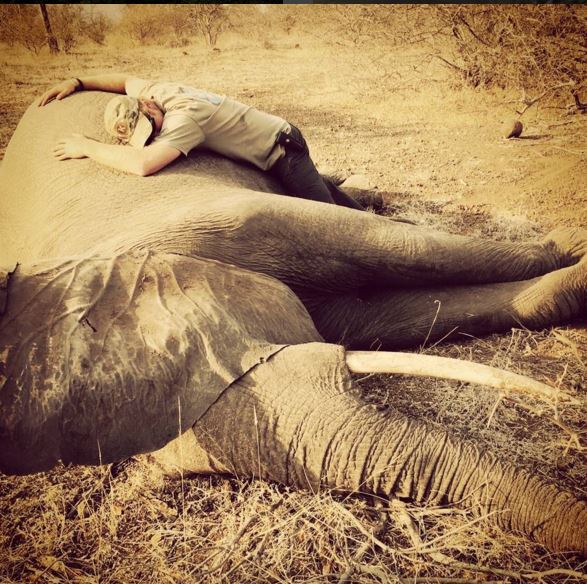 Η συγκίνηση του Πρίγκιπα Χάρι για τα άγρια ζώα – ΦΩΤΟ