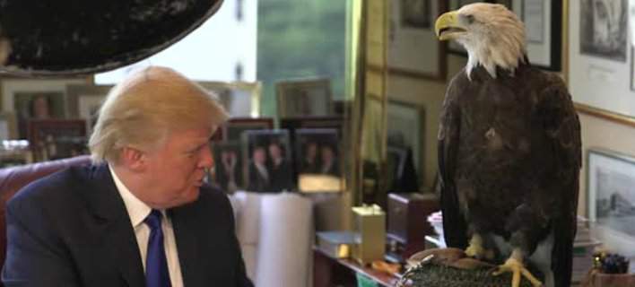 Ο αμερικανικός αετός αντιπάθησε τον Ντόναλντ Τραμπ – ΒΙΝΤΕΟ
