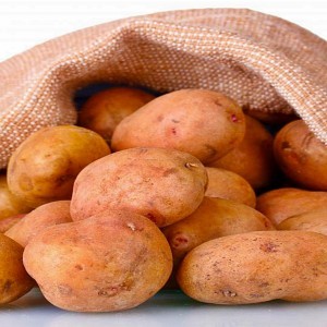 Ασφαλής εγκυμοσύνη: Καταναλώνουμε πατάτες με μέτρο