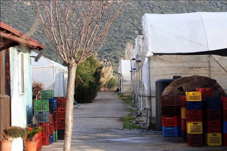 Αυτό είναι το σημείο που κρυβόταν ο συζυγοκτόνος – ΦΩΤΟ