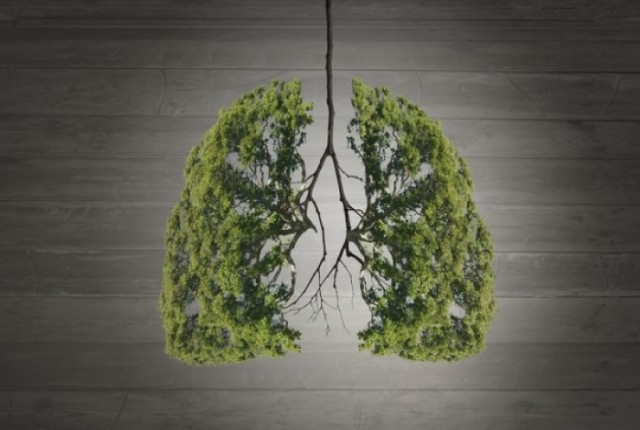 Το λαχανικό που “αγαπάει” τα πνευμόνια σας