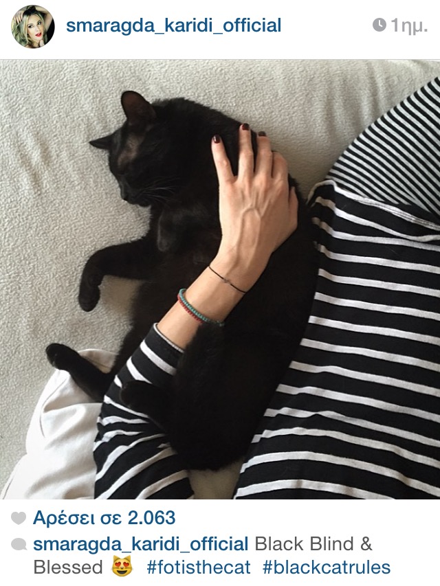 Γιόρταζε ο τυφλός γάτος της Σμαράγδας και του Θοδωρή