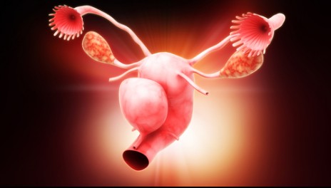 Ινομυώματα: Οι καλοήθεις όγκοι της μήτρας