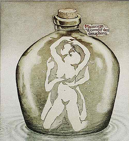 Πόσα δελφίνια μπορείς να δεις στην εικόνα;