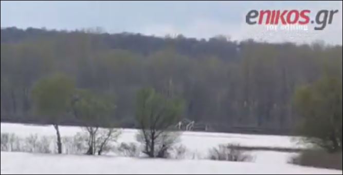 Στα έξι μέτρα η σταθμή του νερού στον Έβρο – ΒΙΝΤΕΟ