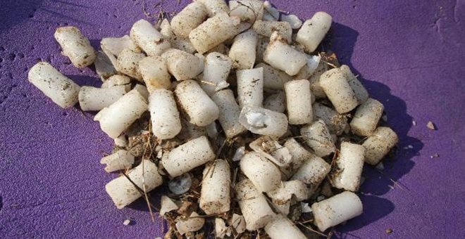 Σοκ – Δηλητηρίασαν 10 σκυλιά στα Χανιά