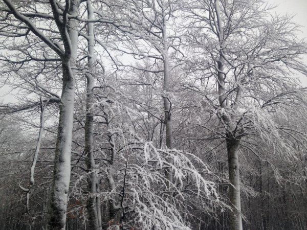 Στα λευκά ντύθηκε η Βασιλίτσα – ΦΩΤΟ