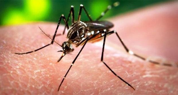 Συναγερμός στην Αμερική για επικίνδυνο ιό που μεταδίδεται από κουνούπι