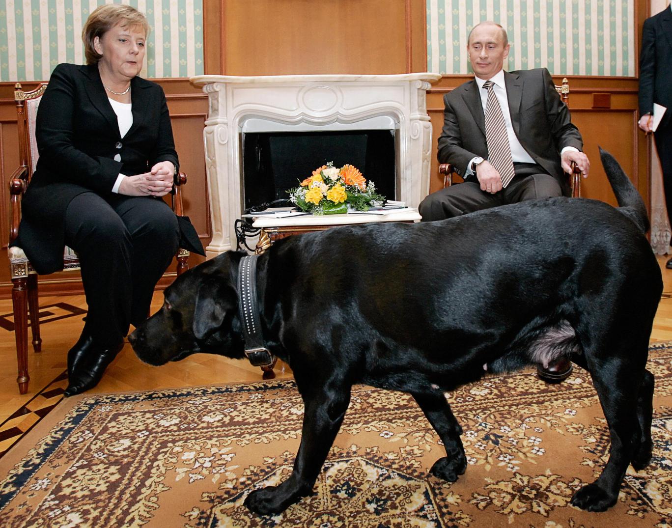 Ο Πούτιν μιλάει για τον τρόμο που προκάλεσε στην Μέρκελ…ο σκύλος του – ΦΩΤΟ