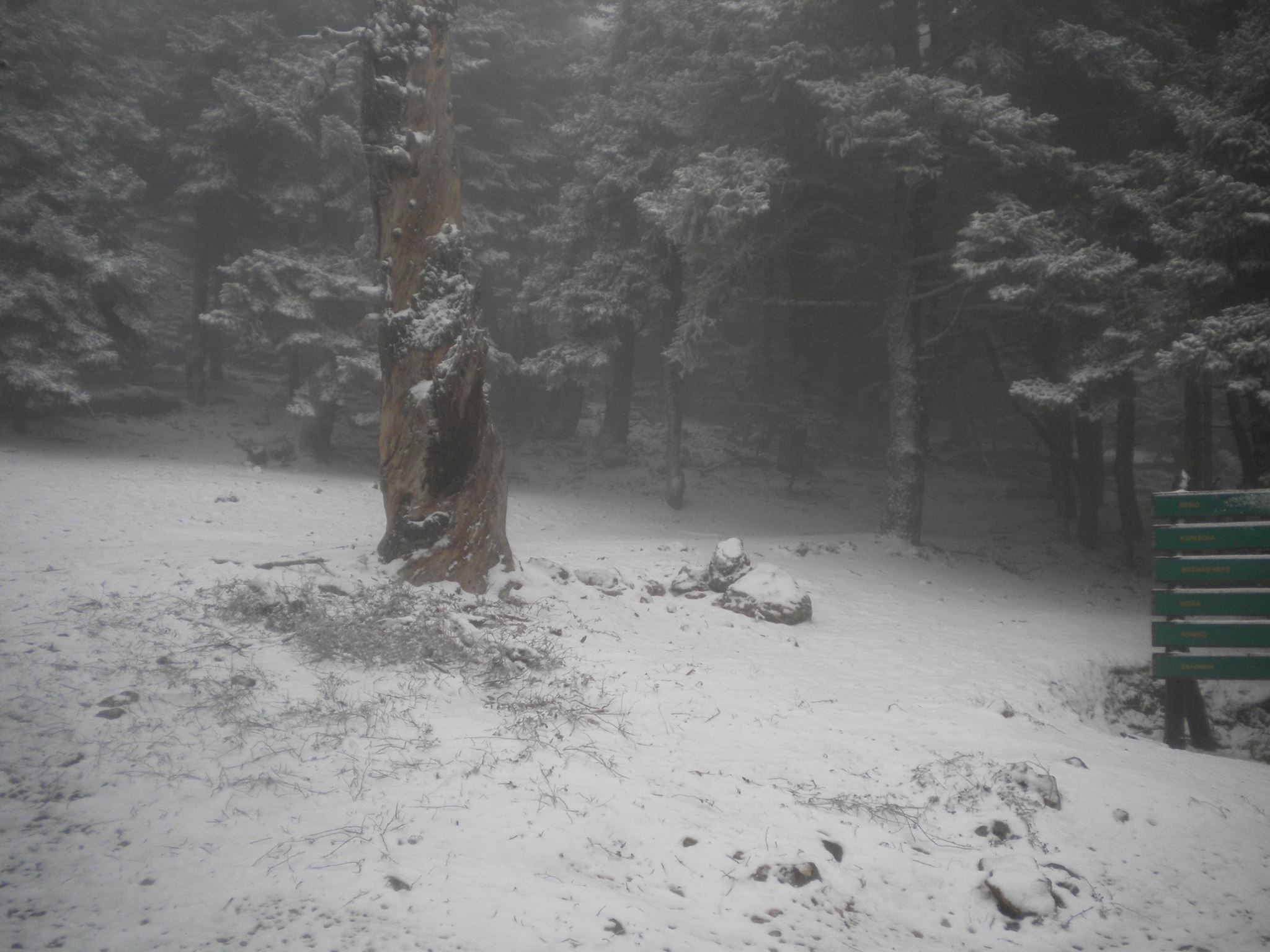 Αίσιο τέλος για τους εκδρομείς που χάθηκαν στην Πάρνηθα