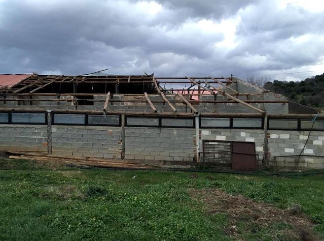 Τρίκαλα – Ανεμοστρόβιλος «χτύπησε» κτηνοτροφική μονάδα – ΦΩΤΟ