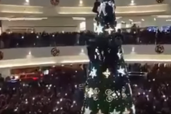 Μουσουλμάνοι “επιτέθηκαν” σε…χριστουγεννιάτικο δέντρο – ΒΙΝΤΕΟ