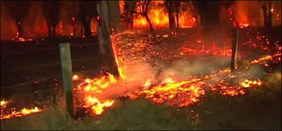 Μεγάλη πυρκαγιά στην Αυστραλία – ΦΩΤΟ