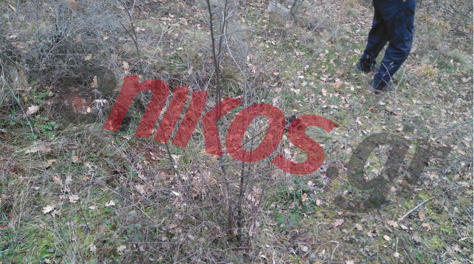 Στοιχεία-σοκ για τη δολοφονία του Κωστή – Πώς η μητέρα του πλαστογράφησε την υπογραφή του