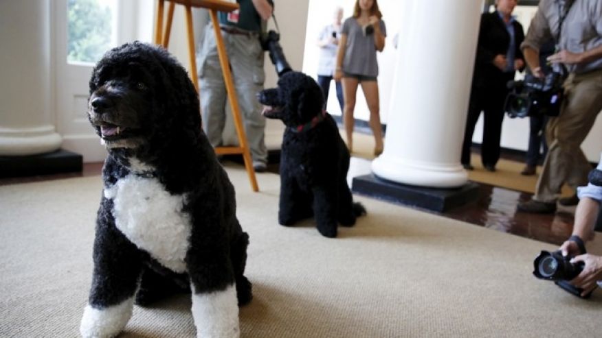 Χειροπέδες σε ψυχοπαθή που ήθελε να απαγάγει τα σκυλιά του Ομπάμα