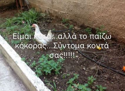 Η γυναίκα με την κότα είχε προαναγγείλει την ενέργειά της στο Facebook