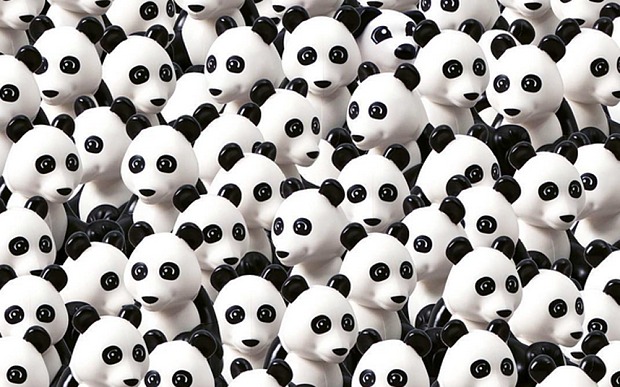 Κουίζ – Μπορείς να βρεις τον σκύλο ανάμεσα στα… πάντα;