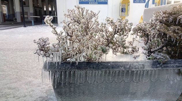 Εντυπωσιακές ΦΩΤΟ από τον παγετό στο Τελωνείο των Κήπων