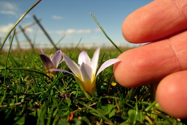 Χαρά: Πώς να ανακαλύψεις τι είναι αυτό που σε κάνει ευτυχισμένο