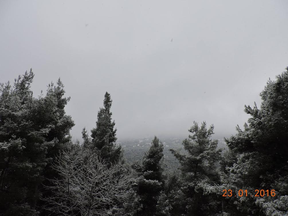 Στα λευκά ο Διόνυσος – ΦΩΤΟ