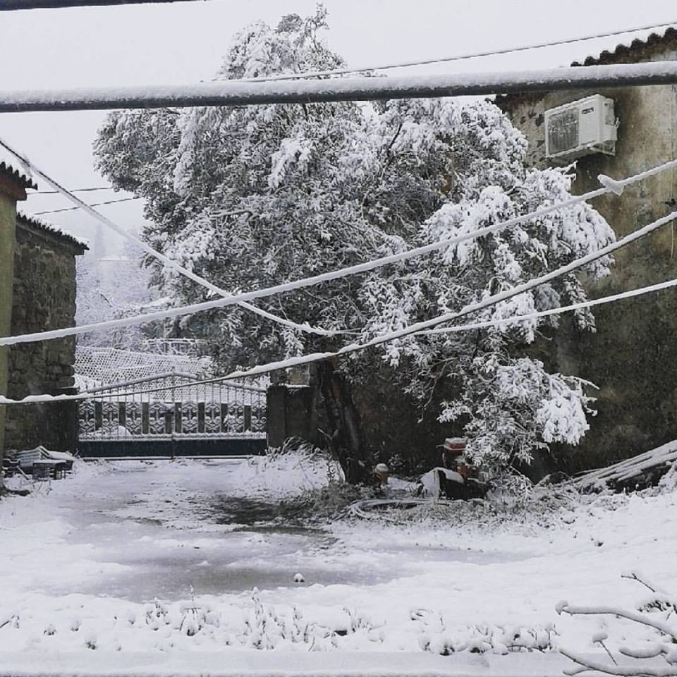 Στα λευκά ντύθηκε η Λέσβος – ΦΩΤΟ – ΒΙΝΤΕΟ