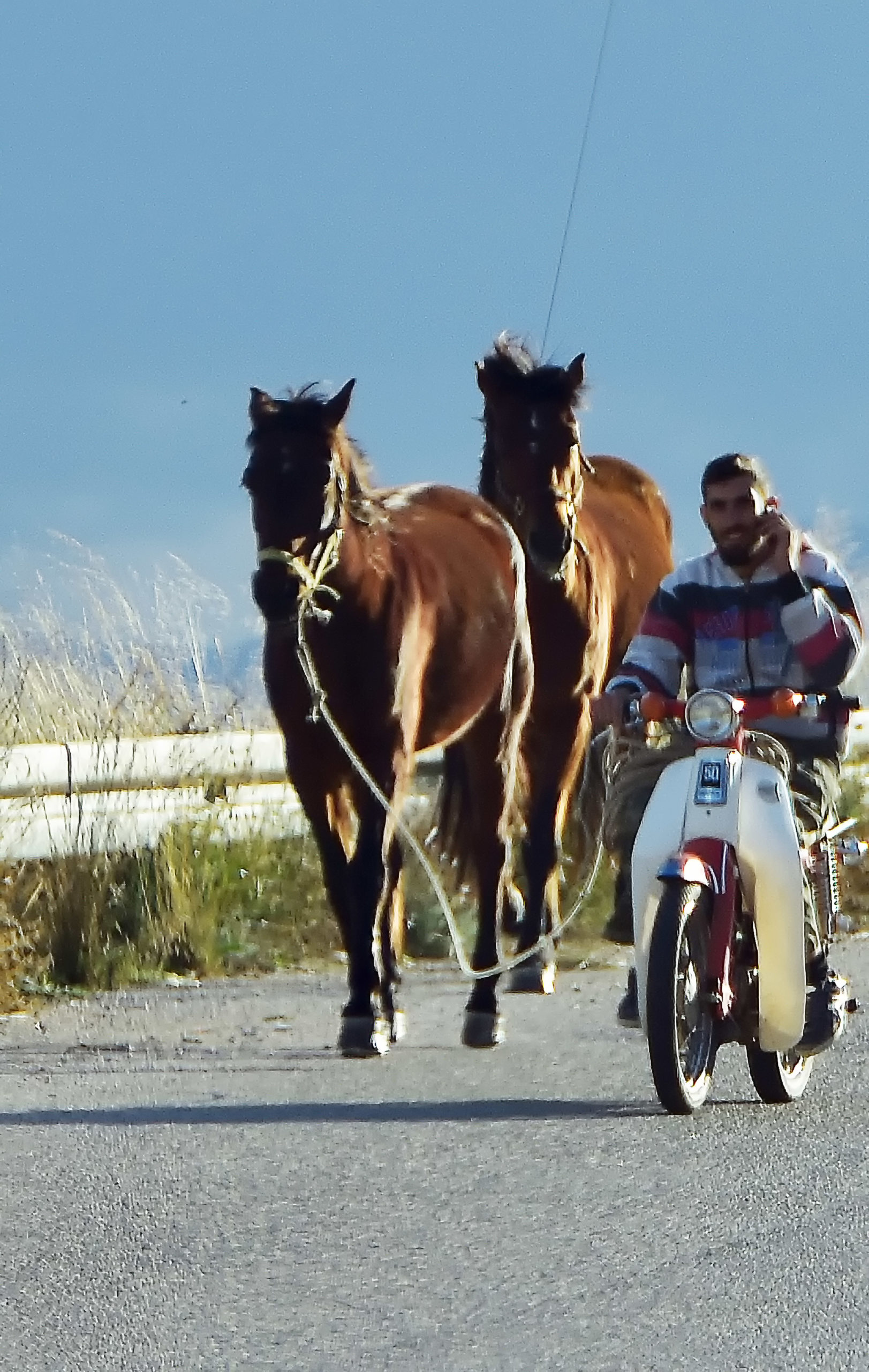 Καβάλησε μηχανάκι και έβγαλε βόλτα… δύο άλογα – ΦΩΤΟ