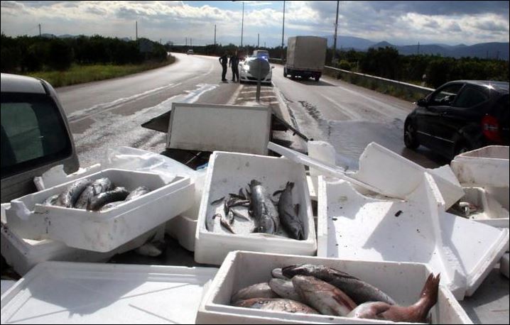 Γέμισε ψάρια η Εθνική οδός προς Μυκήνες – ΦΩΤΟ