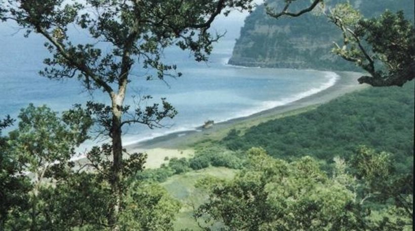 Σεισμικές δονήσεις στη Νέα Ζηλανδία – ΦΩΤΟ