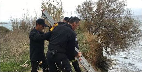 Βρέθηκε νεκρή 43χρονη σε παραλία της Πάρου – ΦΩΤΟ