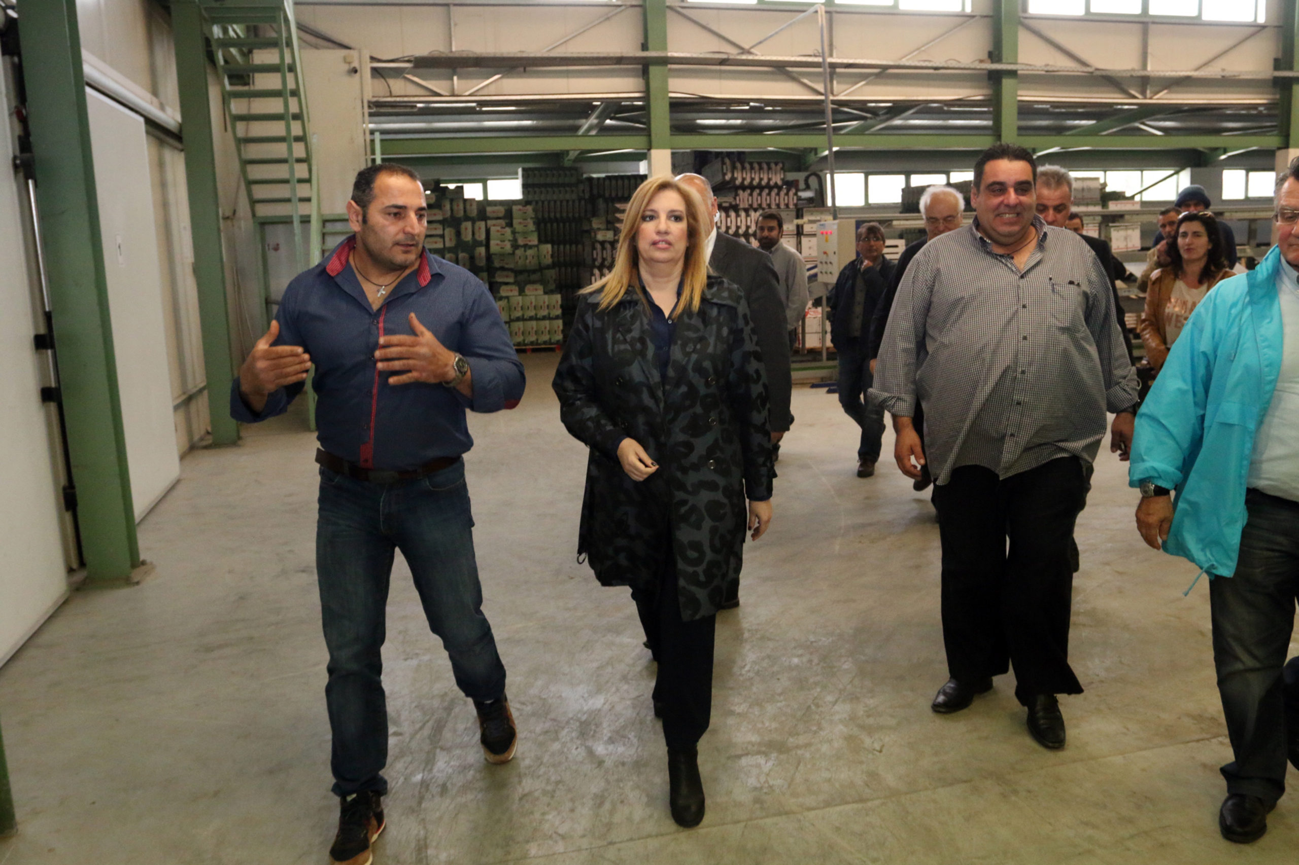 Γεννηματά: Η κυβέρνηση έχει πάρει διαζύγιο από οτιδήποτε παραγωγικό