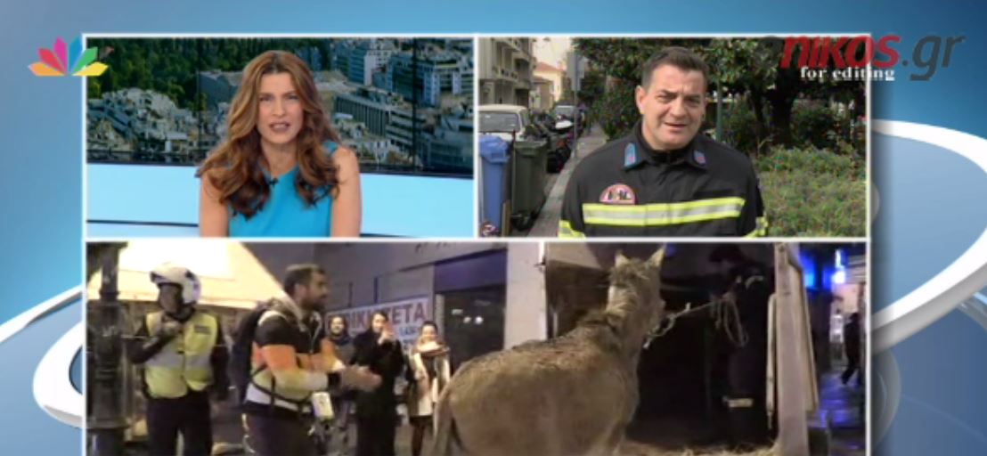 Ο πυροσβέστης με τον γάιδαρο για το πρόστιμο από την τροχαία – ΒΙΝΤΕΟ