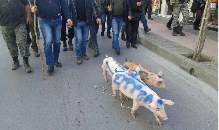 Πορεία με… γουρούνια στο κέντρο του Ρεθύμνου – ΒΙΝΤΕΟ