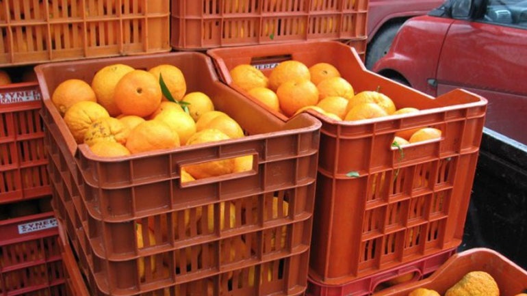 Δεσμεύτηκαν 15,7 τόνοι πορτοκαλιών στο Ρέντη