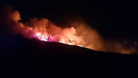 Σε εξέλιξη πυρκαγιά στην ορεινή Τριφυλία – ΦΩΤΟ