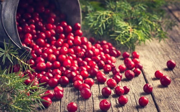 Νεφρά – Ποια τρόφιμα κάνουν καλό