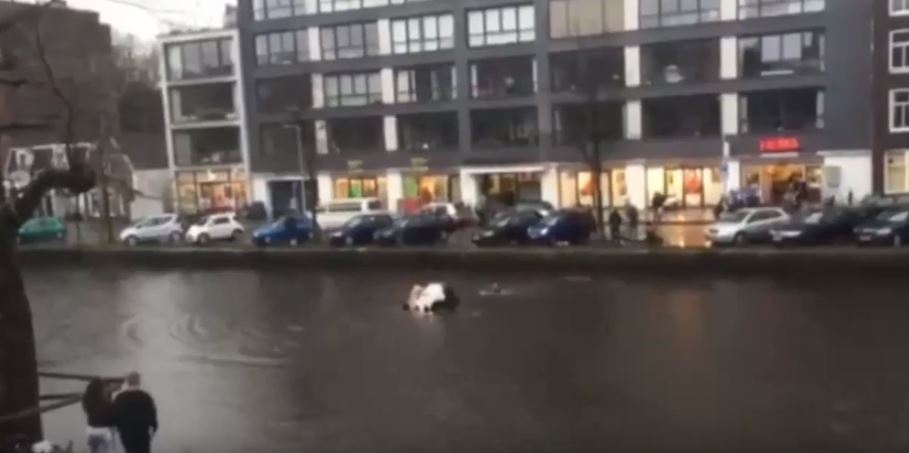 Έσωσαν μητέρα και παιδί από αυτοκίνητο που βούλιαζε – ΒΙΝΤΕΟ