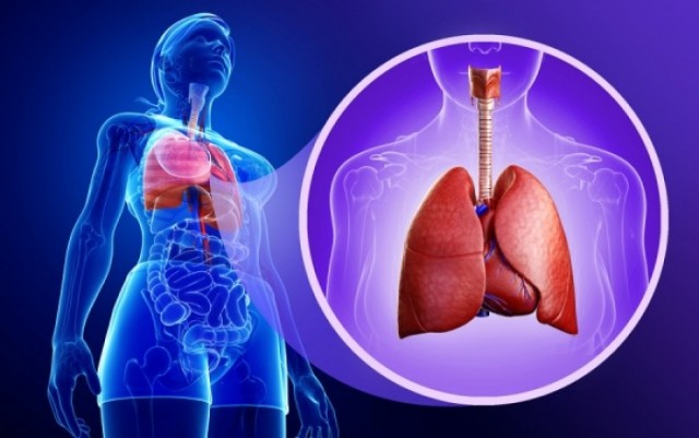 Κυστική ίνωση: Ποια είναι τα συμπτώματα, πώς κληρονομείται