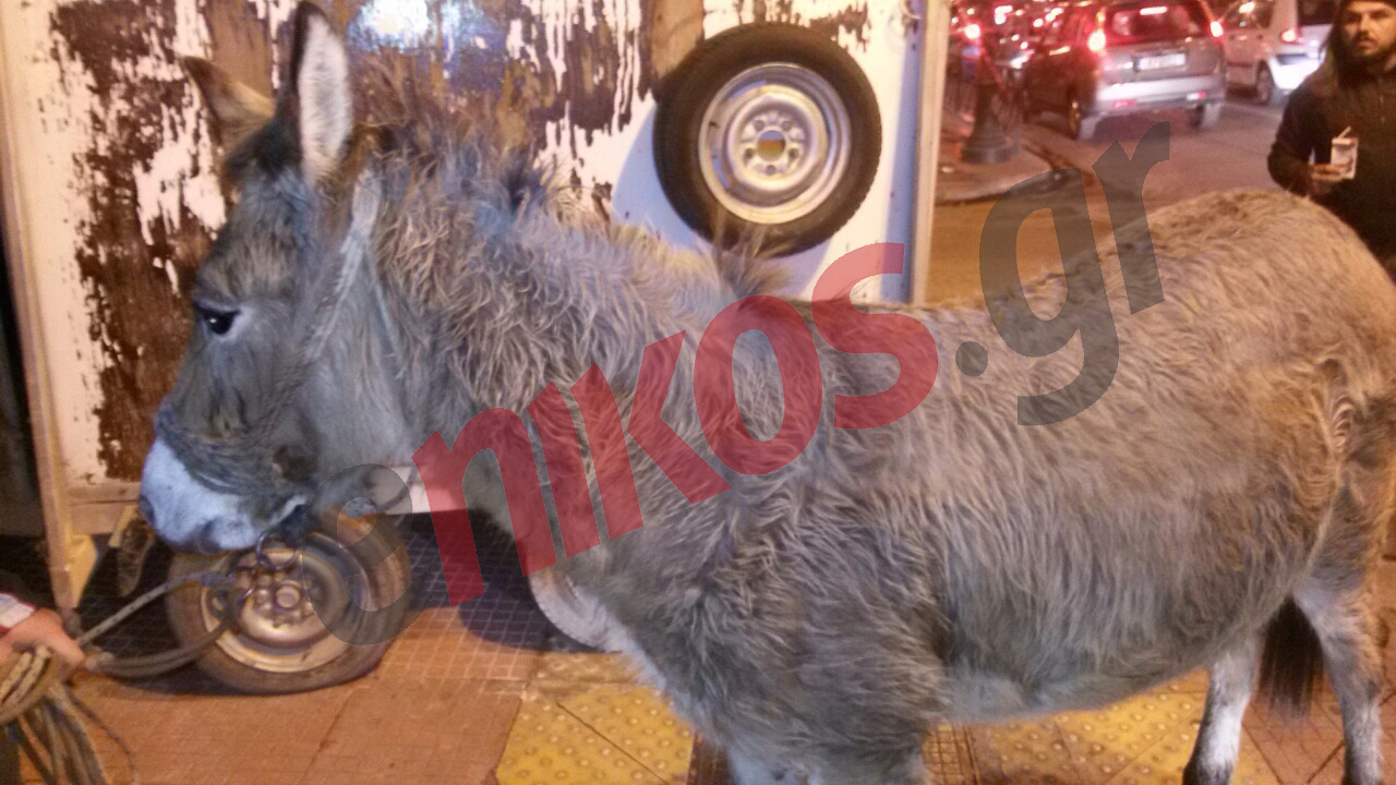 Στην Τροχαία ο γάιδαρος των πυροσβεστών και οι αστυνομικοί διαδηλωτές – ΦΩΤΟ