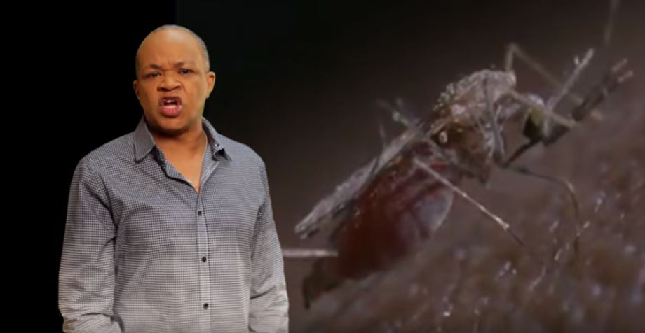 Οδηγίες σε ρέγκε ρυθμό για την προφύλαξη από τον ιό Ζίκα – ΒΙΝΤΕΟ