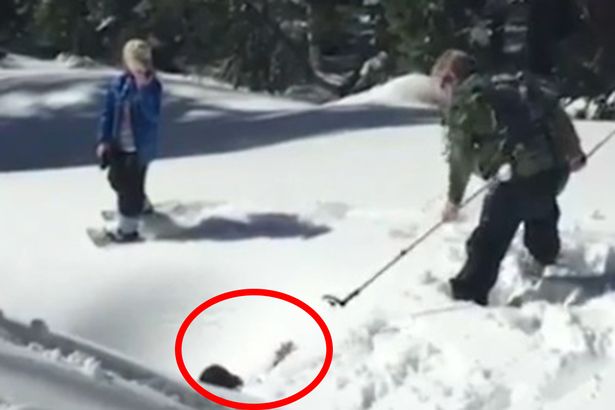 10χρονη παγιδεύτηκε σε τρύπα από χιόνι – ΦΩΤΟ – ΒΙΝΤΕΟ