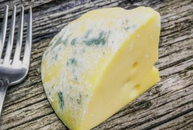 Μούχλα στις τροφές – Ποιες πετάμε και ποιες όχι