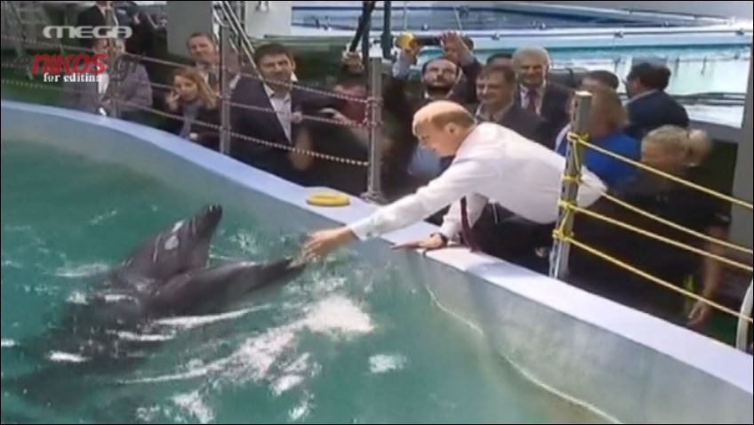 Ρωσία – Δελφίνια θα καταταγούν στο ναυτικό ως… κατάσκοποι – ΒΙΝΤΕΟ
