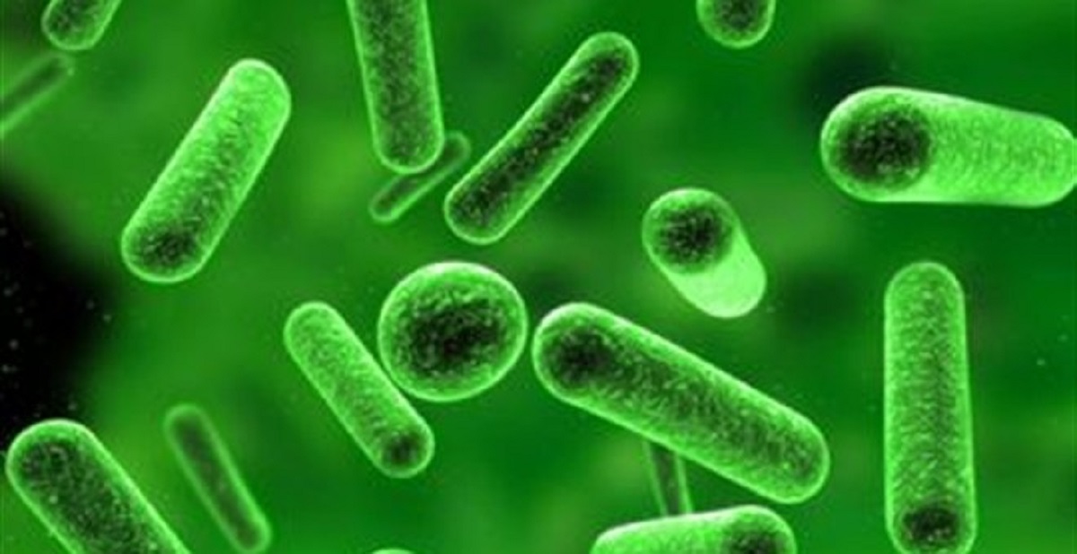 Κρούσμα μηνιγγίτιδας σε γυμνάσιο των Τρικάλων