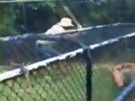 Τρομακτική επίθεση κροκόδειλου σε εκπαιδευτή ζώων – ΒΙΝΤΕΟ