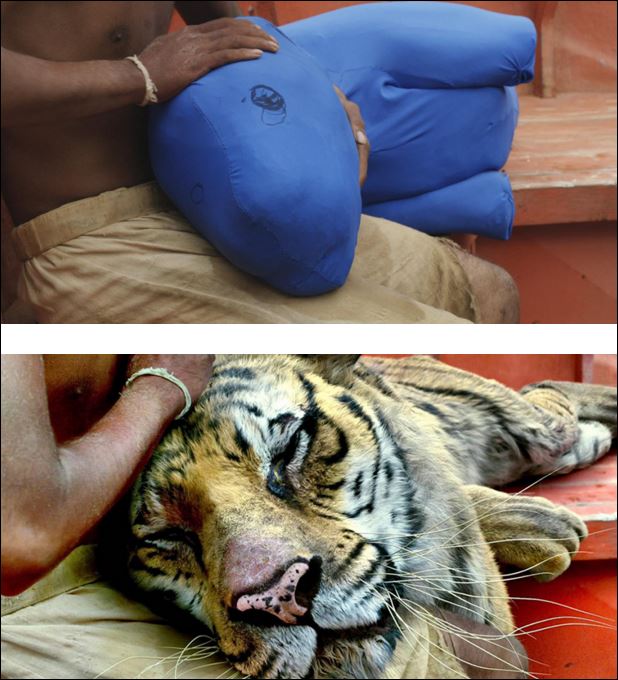 Η αλήθεια πίσω από τα διάσημα κινηματογραφικά εφέ – ΦΩΤΟ