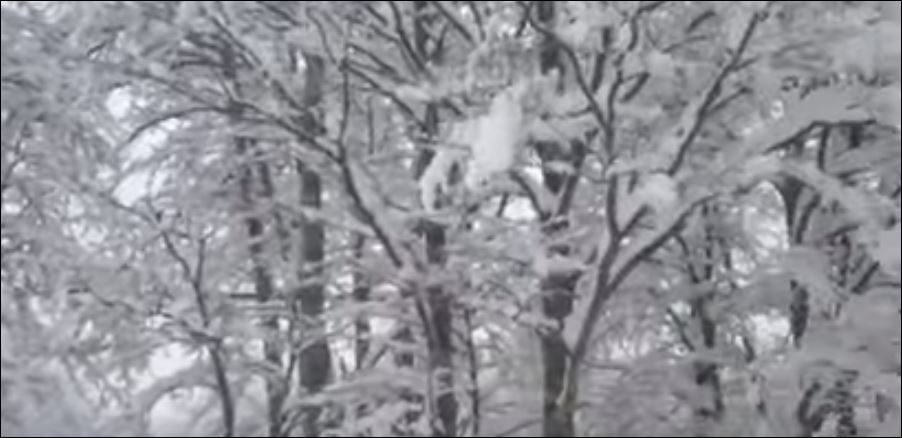 “Ντύθηκε στα λευκά” η Βασιλίτσα – ΒΙΝΤΕΟ