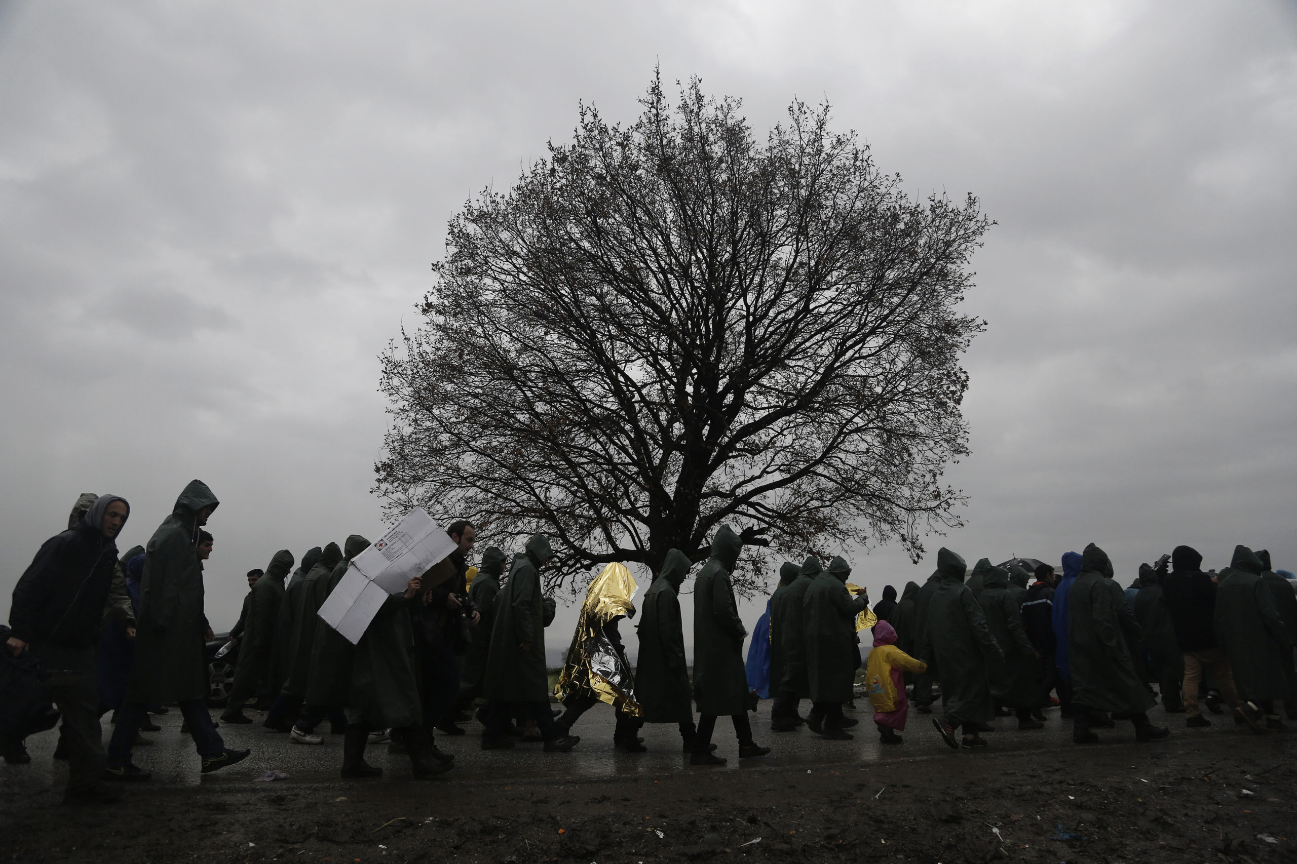 Πρόσφυγες φεύγουν από την Ειδομένη ψάχνοντας πέρασμα για τα Σκόπια
